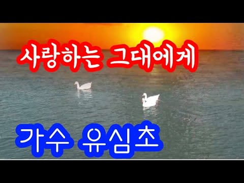 #연속듣기 가수 유심초♡사랑하는 그대에게 (가사첨부)