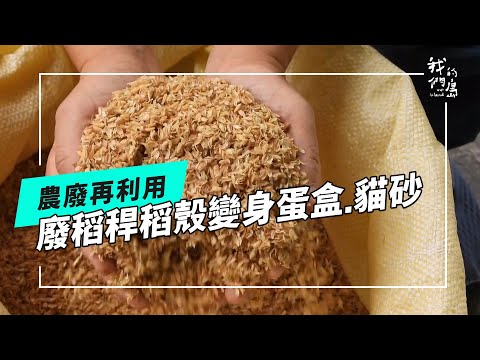 稻稈與稻穀的續命之路｜農業廢棄物變身蛋盒.貓砂.驅蟲液(公視我們的島 第1328集 2025-10-20)