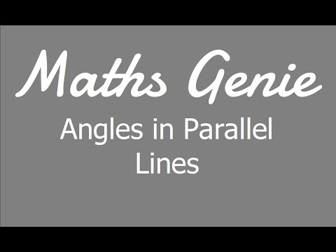 Angles in Parallel Lines