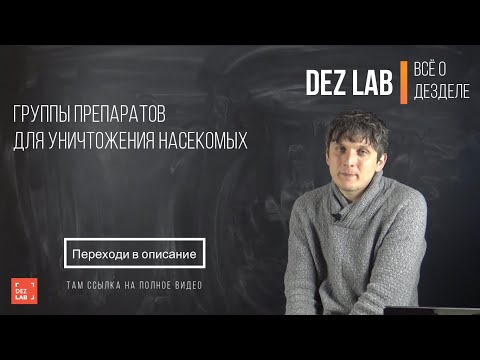 Группы препаратов для уничтожения насекомых.  В чем особенности?