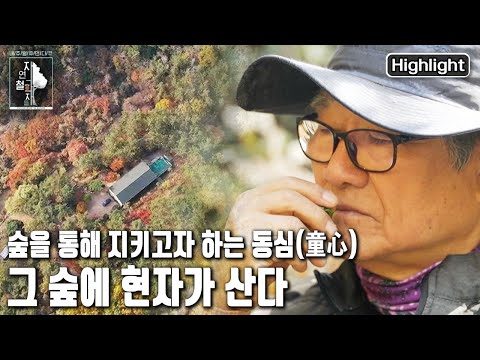 '지키고 싶은, 우리들의 숲' 숲을 통해 동심(童心)을 지키고 삶을 배운다 | 자연의 철학자들 36부 그 숲에 현자가 산다 (KBS 20221202 방송)