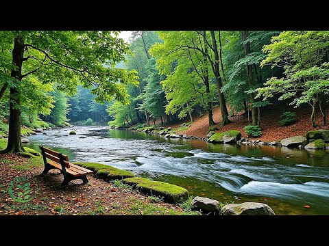 Beautiful Relaxing Music 🍀Deep Healing and Stress Relief, Nature Sounds for Deep Relaxation
