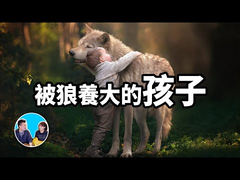 一個被狼養大的孩子| 老高與小茉 Mr & Mrs Gao