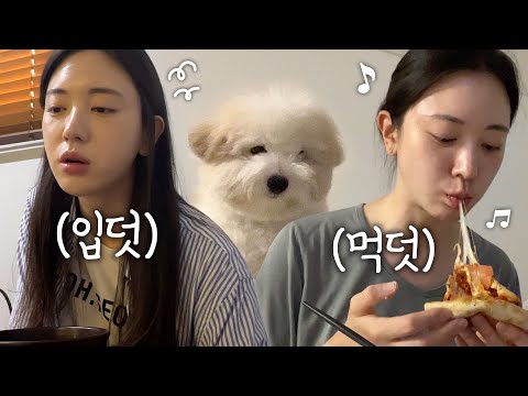 [VLOG] 입덧과 먹덧 지옥의 시작..🤮 | 임신 6-7주차