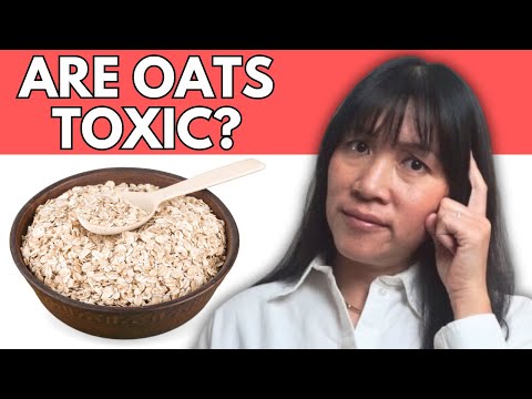 5 Reasons You Might Want to Think Twice Before Eating Oatmeal  Dr  Yvonne Burkart