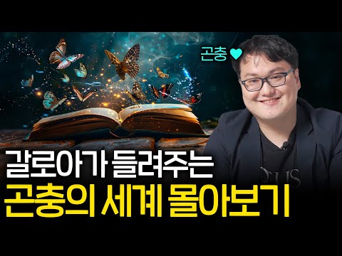 자기 전에 들으면 지식이 저절로 쌓이는 신비한 곤충의 세계 3시간 몰아보기 (꿀잠 권장 ASMR)