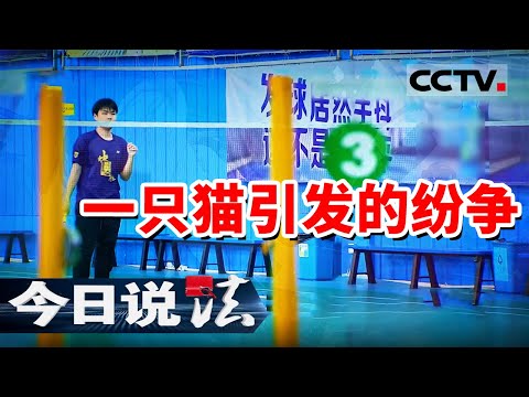 《今日说法》踩到猫摔成十级伤残！羽毛球馆天价赔偿案 谁该背锅？ 20250526 | CCTV今日说法官方频道