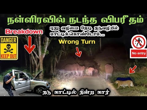 Very very dangerous night trip broken down car in middle of forest athirapalli new danger route