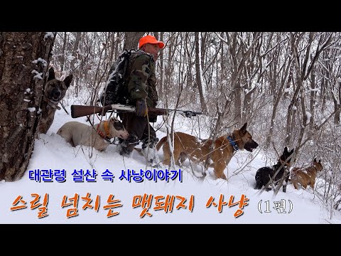 대관령 폭설이 내린 산속 멧돼지사냥체험1부   Hunting wild boars in the snowy mountains of Daegwallyeong