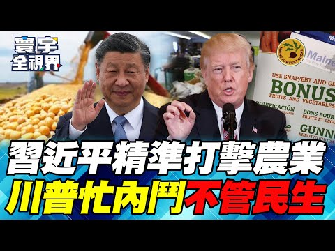 Xi Jinping's targeted strikes on soybeans, beef, and almonds have caused a 73% collapse in US