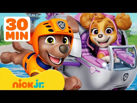 PAW Patrol Air & Sea Rescues! w/ Skye and Zuma | 30 Minutes | Nick Jr.