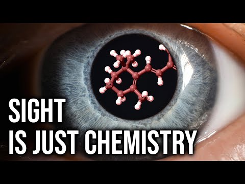 Vision Is Actually A Chemical Reaction