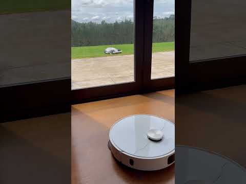 What domestic bliss looks like #luba #robotmower #robotvacuum