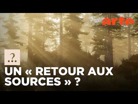 Est-il vrai qu’autrefois nous vivions en harmonie avec la nature ? | Est-il vrai que...? | ARTE