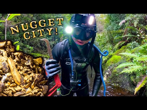 A Fortune of Gold Nuggets Found Compressor Diving