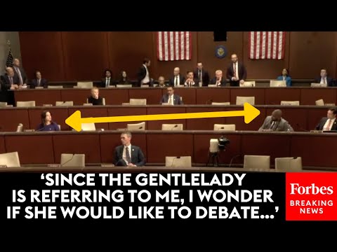 WATCH: Hearing Erupts Into Chaos After Dem Enters Into The Record Article On Byron Donalds' Arrest