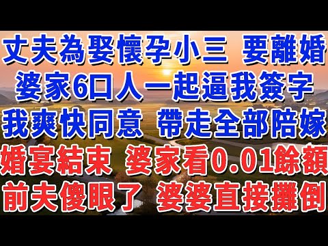 老公為娶懷孕小三 跟我離婚，婆家6口人一起逼我簽字，我爽快同意 帶走全部陪嫁，婚宴結束付錢時 婆家看著0.01餘額，前夫當場傻眼 婆婆直接攤倒！#妮妮故事會 #情感故事 #老年生活
