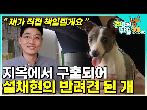 "책임지지 않을 거면 오지도 않았다" 지옥에서 나와 대한민국 최고 전문가의 품안에 설채현쌤과 세상이와의 만남│#왜그러냥귀엽개