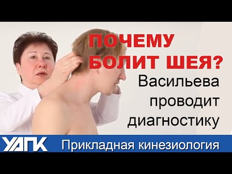 Полный алгоритм поиска причины боли в Шее