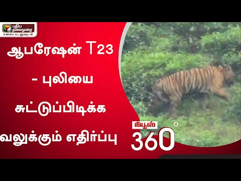 News 360 : ஆபரேஷன் T23 -  புலியை சுட்டுப்பிடிக்க வலுக்கும் எதிர்ப்பு