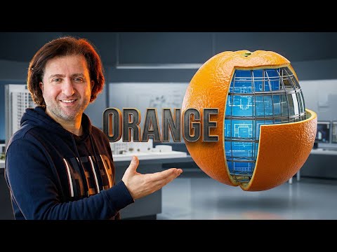 12 - Orange - Archifruits.ai - English