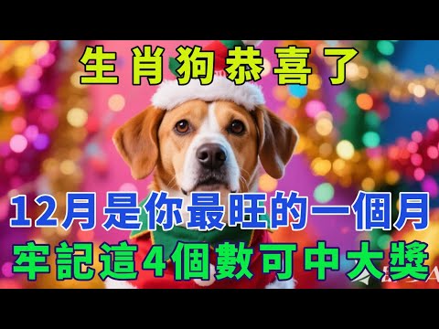 生肖狗恭喜了，25年12月是你今年最旺的一個月。牢記這4個數可中大獎。