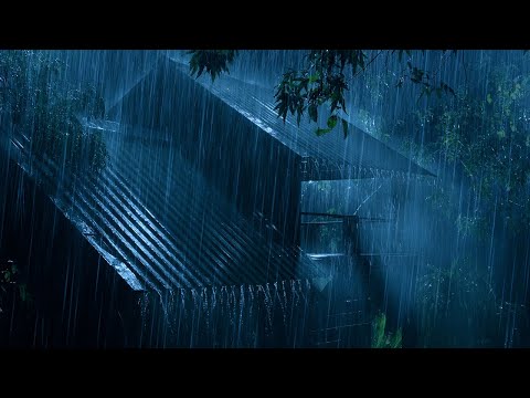 Deep Night Sleep • Heavy Rainfall & Furious Thunder on a Rickety Metal Roof in the Dark Rainforest