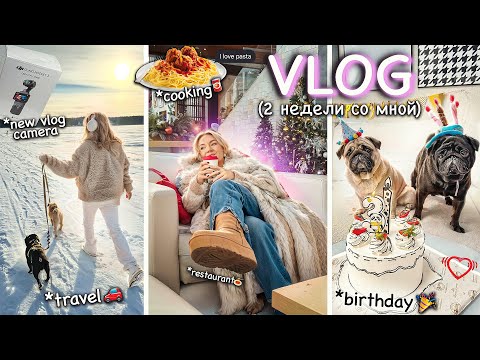 BIG VLOG💞 День Рождение Фуни, мини ПУТЕШЕСТВИЕ, Убираем Елку, DJI Osmo Pocket и Ozon, COOKING 🍝