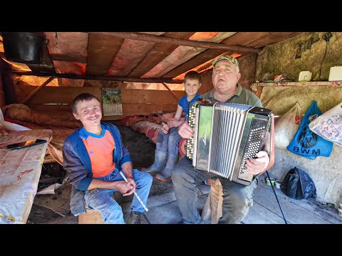 Real life in the Carpathians: autumn sheep grazing, an old house and a large family in Vydrychka