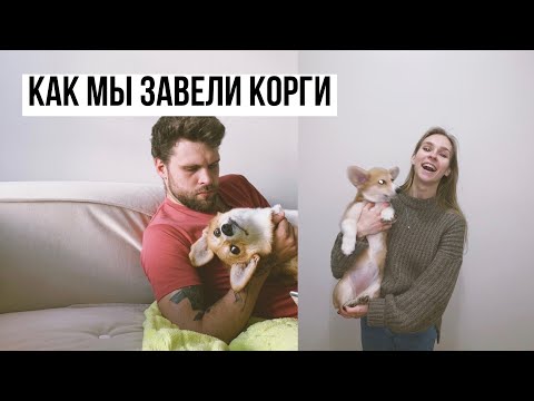 КОРГИ первые месяцы жизни | ЧТО НУЖНО ЗНАТЬ и К ЧЕМУ ГОТОВИТЬСЯ