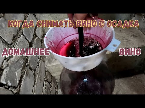 Когда и сколько раз я снимаю вино с осадка. Почему я добавляю сахар и воду в вино.#виноделие