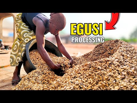 Egusi Processing with Local Machine
