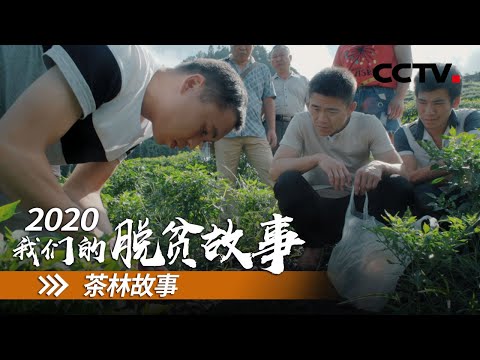 湖北咸丰县：大时代的“小人物”逆袭 | CCTV「2020 我们的脱贫故事」第六集