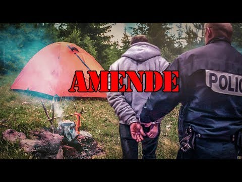 Que Risque-t-on à Camper en Forêt ?