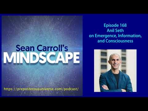 Mindscape 168 | Anil Seth on Emergence, Information, and Consciousness