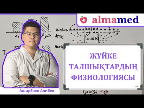 Жүйке талшықтың физиологиясы