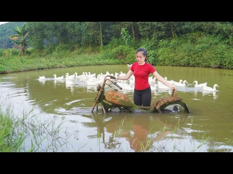 Girl Restores a Rusty Motorcycle Pulled from Deep Pond — From Scrap to Shiny Beauty