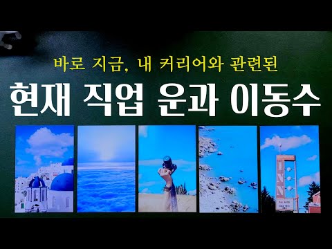 [타로] 지금 나의 직업운과 6개월 이내 이동운