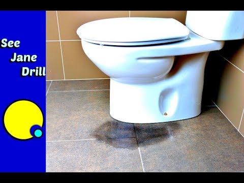 Anyone Can Fix a Leaky Toilet