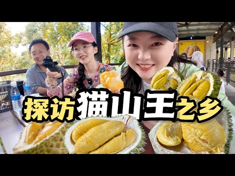 Visiting the hometown of Musang King in Malaysia and eating 15 durians in one day!