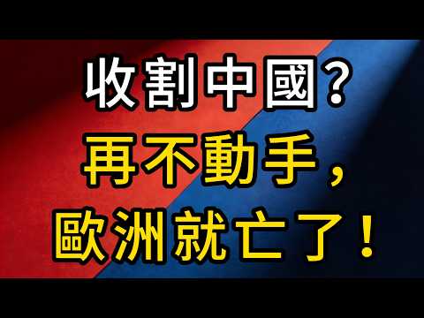 收割中國?復刻“廣場協議”?法國:再不動手,歐洲就亡了!