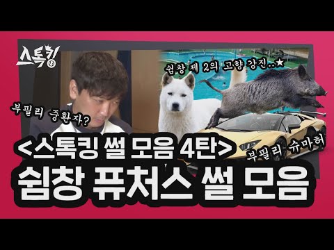 [#스톡킹 썰 모음 4탄] 쉼창 퓨처스 썰 모음
