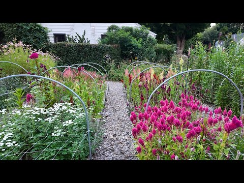 An Enchanting URBAN Flower Farm | Small Farm Tour in the City