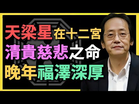 天梁星在十二宮，清貴慈悲之命，晚年福澤深厚！#倪海廈 #紫微鬥數 #天梁星 #命理分析 #中年轉運 #命運預測 #十二宮解析 #命理實戰 #八字命理 #貴人運