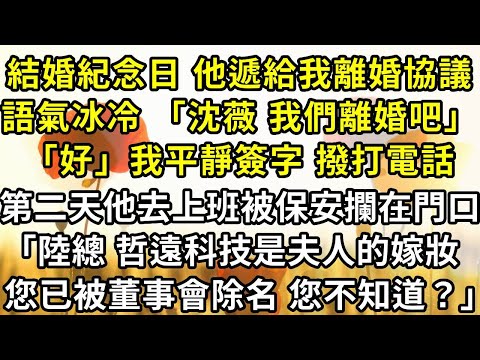 On our wedding anniversary  he handed me a divorce agreement  his tone cold. ”Shen Wei  let's get d