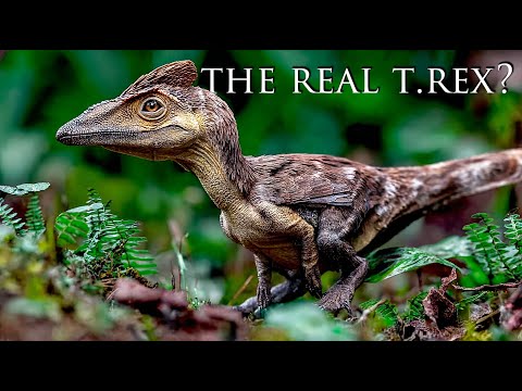 T. rex Wasn’t Born a King: How a Weak Hunter Evolved into T. rex