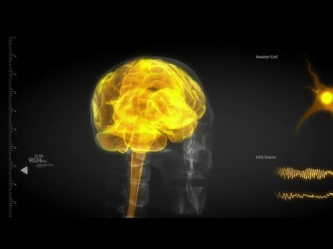 Santé - Les étonnants pouvoir du nerf vague