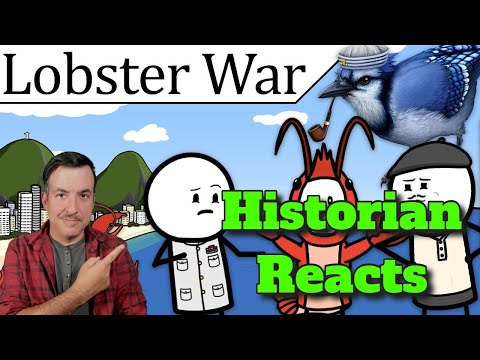 The Dumbest War Nobody Ever Talks About - BlueJay Reaction