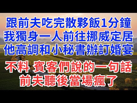 跟前夫吃完散夥飯1分鐘，我獨身一人前往挪威定居，他高調和小秘書辦訂婚宴，不料，賓客們說的一句話，前夫聽後當場瘋了！#為人處世#故事頻道#故事#情感#情感故事#戀愛#前夫#訂婚#家庭#婚姻