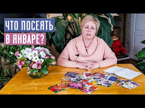 НАСТУПИЛ ПОСАДОЧНЫЙ СЕЗОН!!! ЧТО ПОСЕЯТЬ В ЯНВАРЕ? / Садовый гид садовый гид